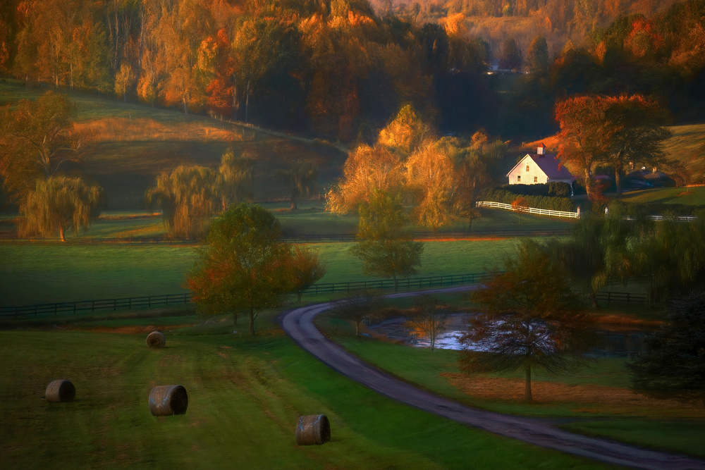 Fall Morning von Catherine W.