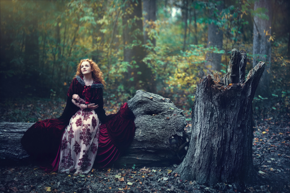 In the Woods von Catherine W.