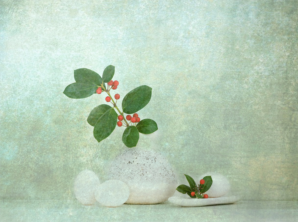 Holly Berries von Catherine W.