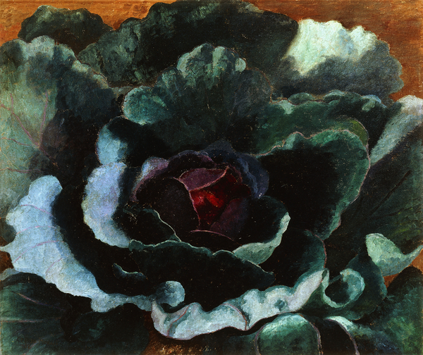 Cabbage von Cedric Morris