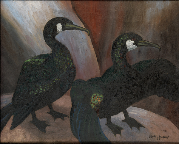 Green Cormorants von Cedric Morris