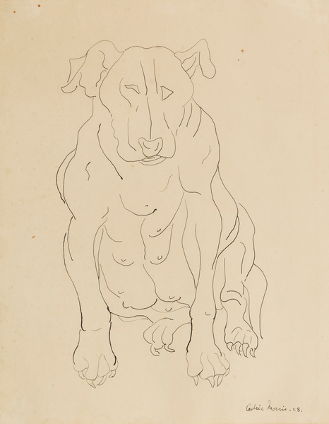 Nancy Morris‚ bull dog von Cedric Morris