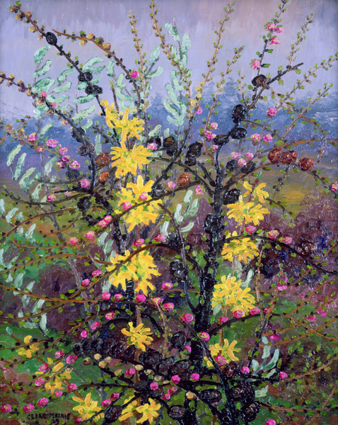 Shrubs von Cedric Morris