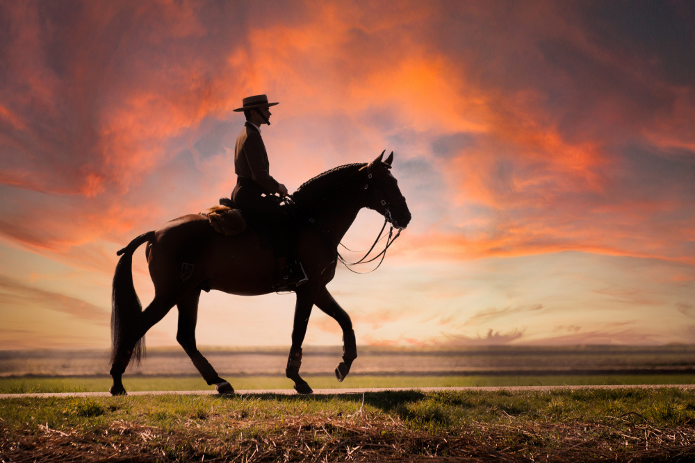 Evening ride von Celine Weerink