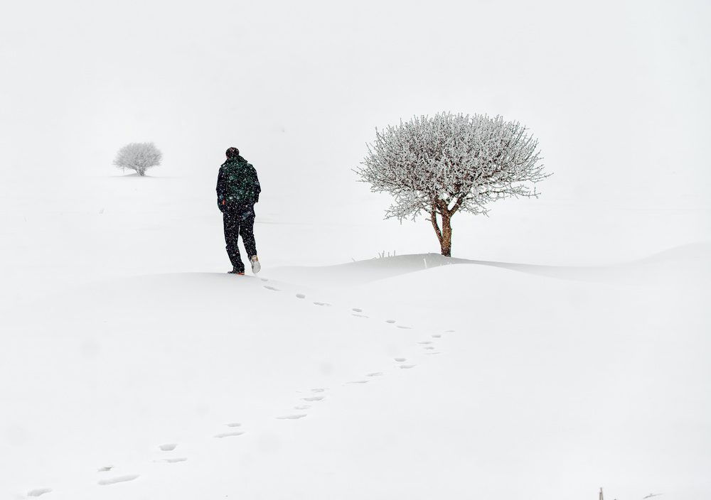 lone on snow von Cem Ayden