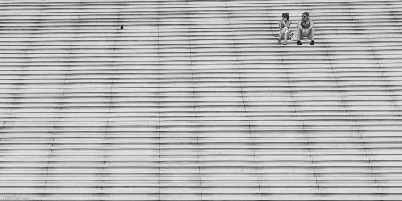 a short story about a lonely pigeon watching a couple of people