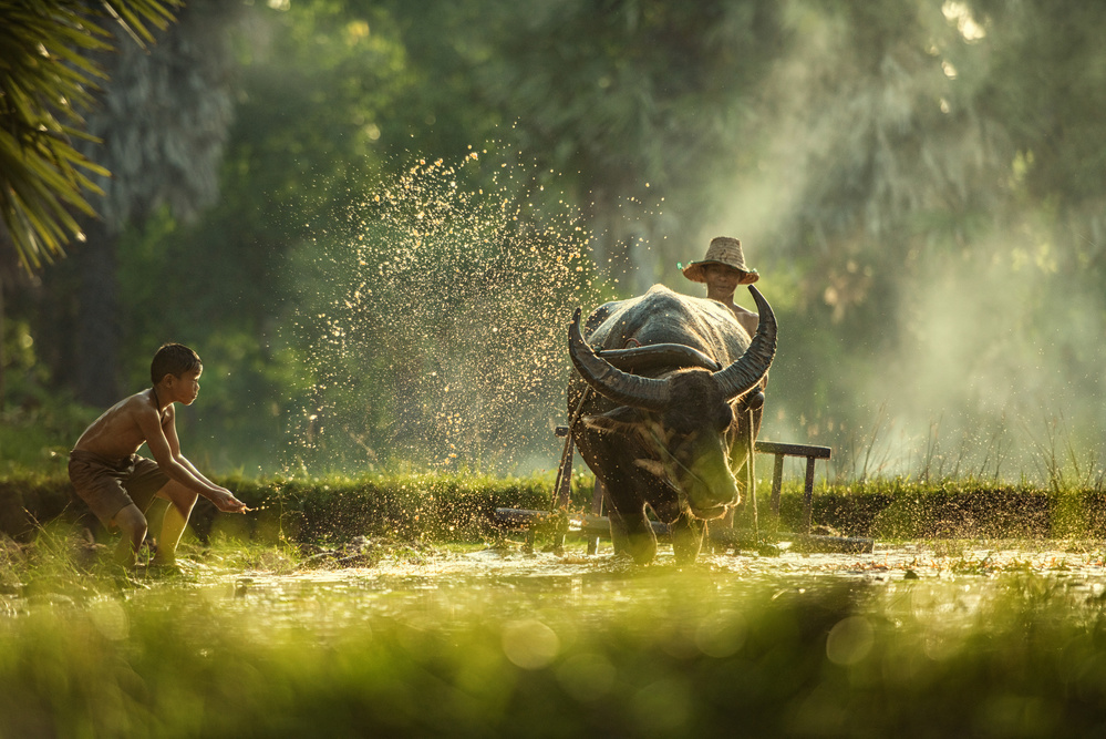 Thailand farmers von Chanwit Whanset