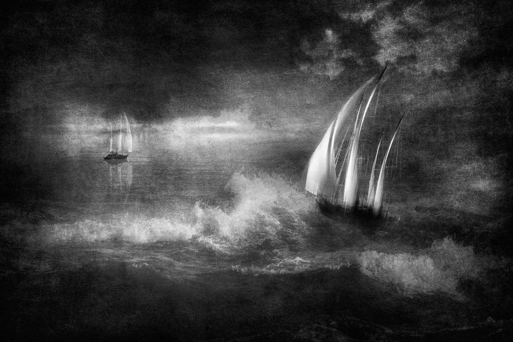 ...catch the wind... von Charlaine Gerber