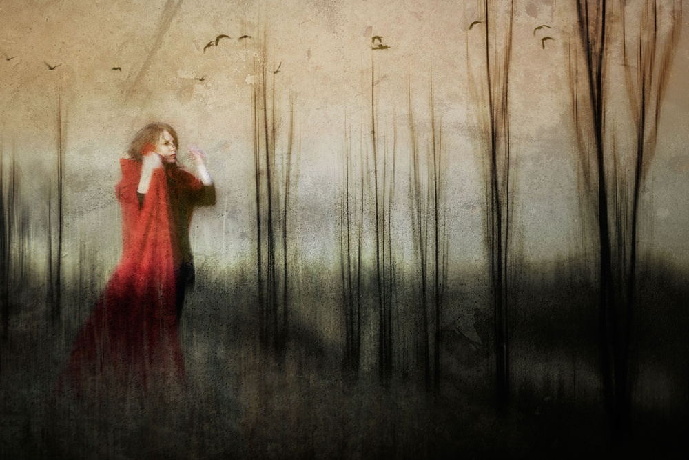 As a song in search of a voice that is silent von Charlaine Gerber