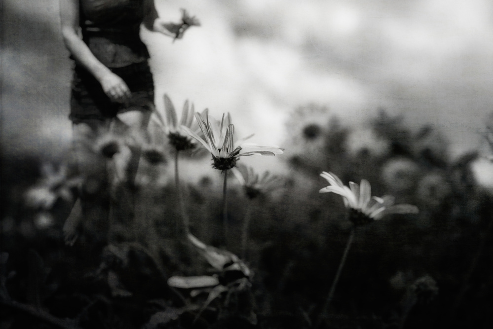 ...then I was young and unafraid... von Charlaine Gerber