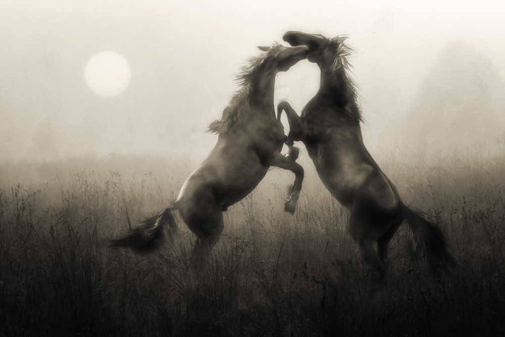 Life is just a simple game... von Charlaine Gerber