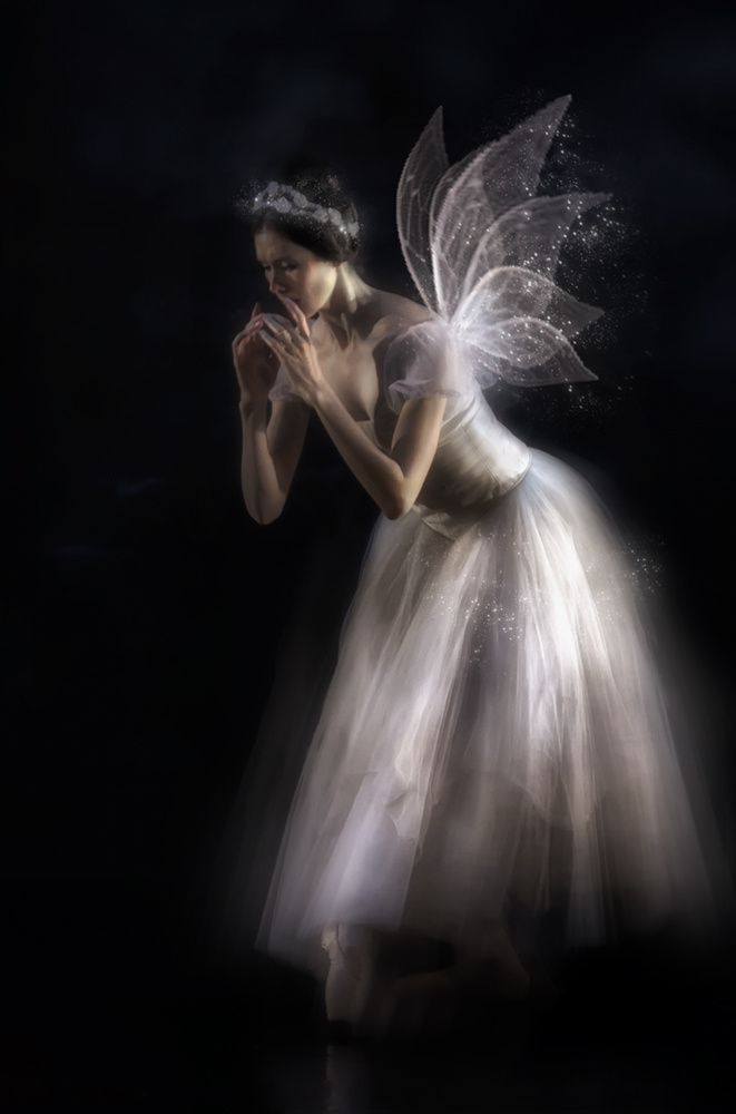 The fairy queen... von Charlaine Gerber