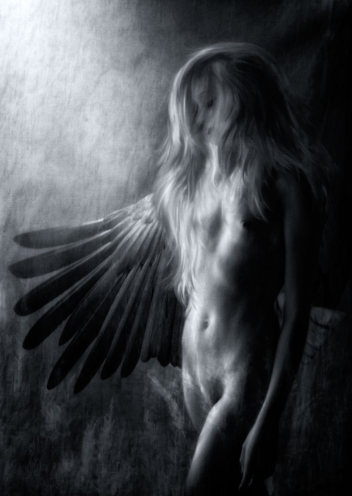 Unleash your wings, unleash your soul... von Charlaine Gerber