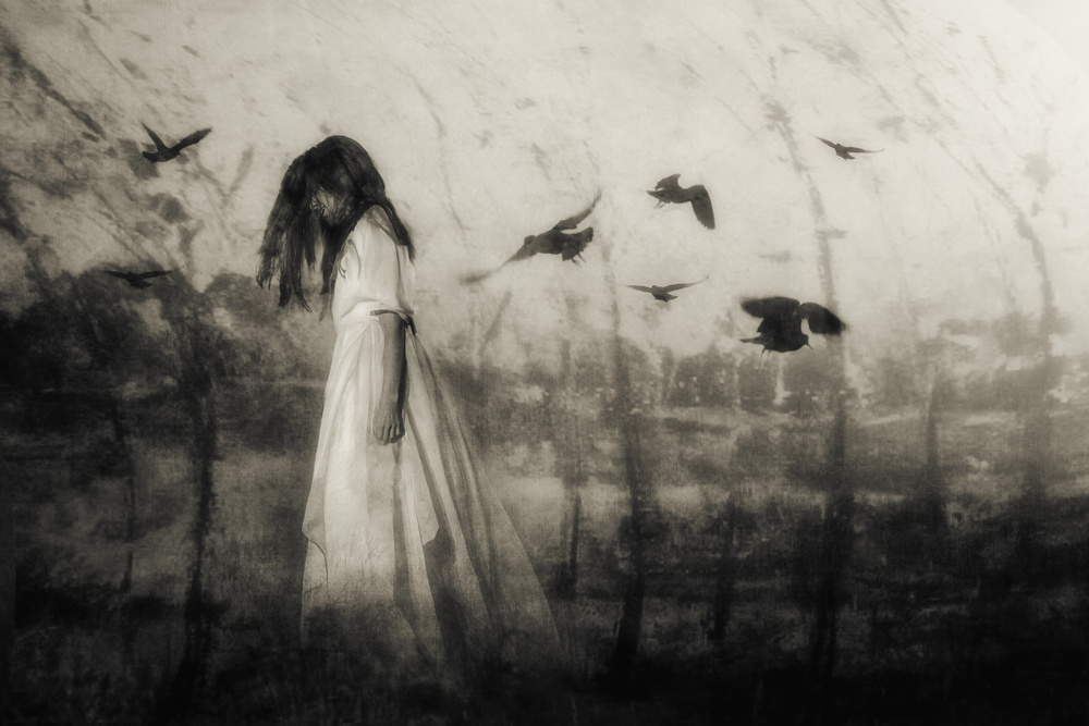 Cutting its way through my dreams like a knife... von Charlaine Gerber