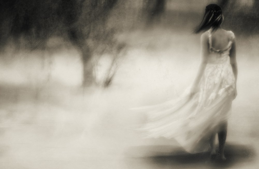 You see all I needs a whisper in a world that only shouts von Charlaine Gerber