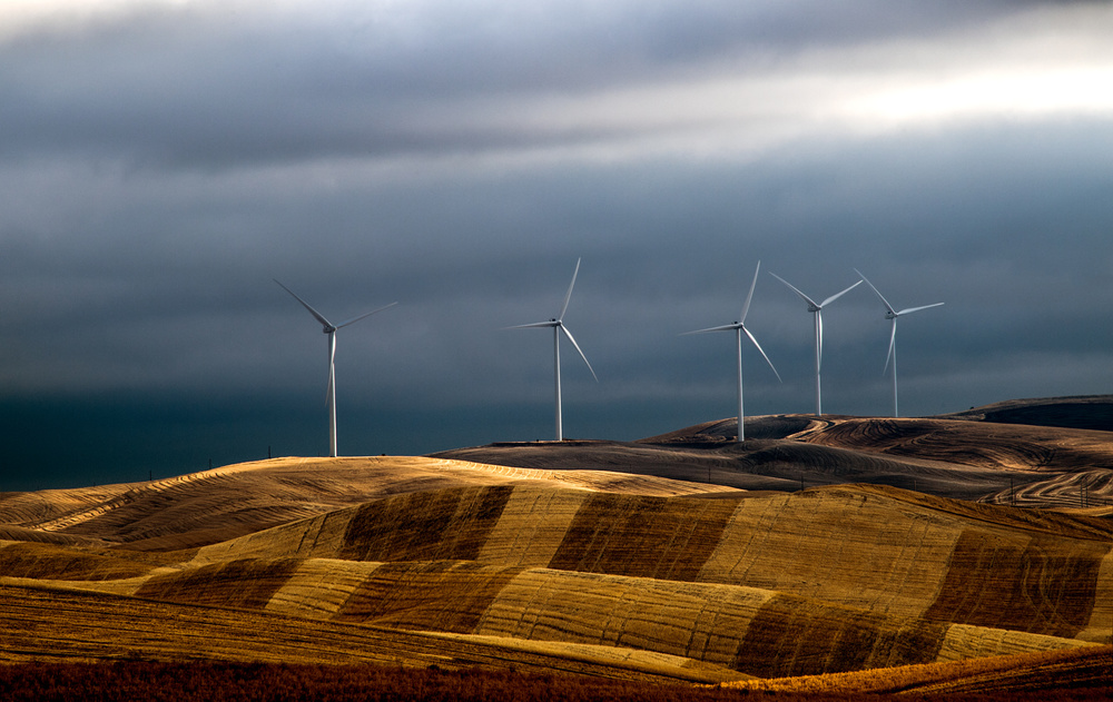 Rolling wheat Fields von Charles Lai