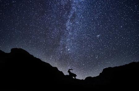 The Ibex and the milky way