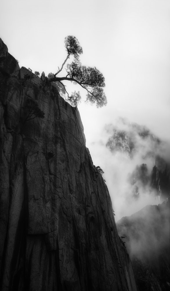 Mt. Huang von Cher Gu