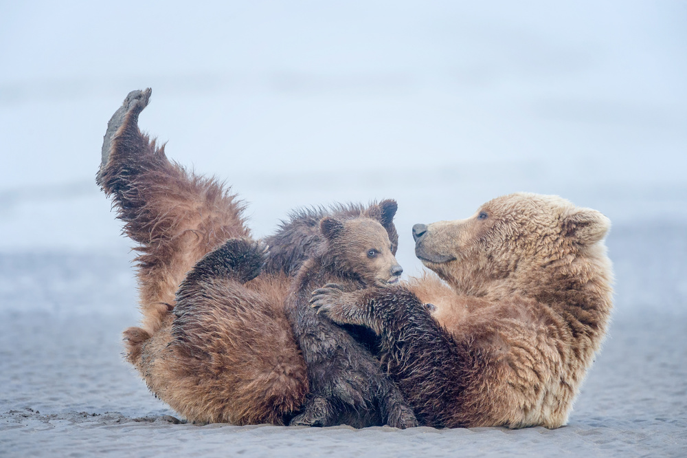 Time For Breakfast von Cheryl Schneider