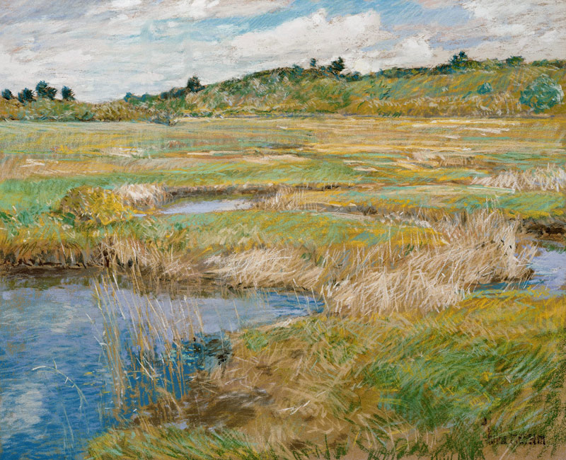 Wiese in Concord von Childe Hassam