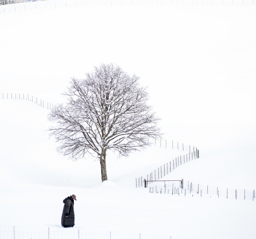 winter von Choi hyeong geun