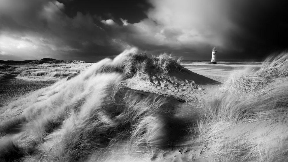 Amongst the dunes von Chris Benham