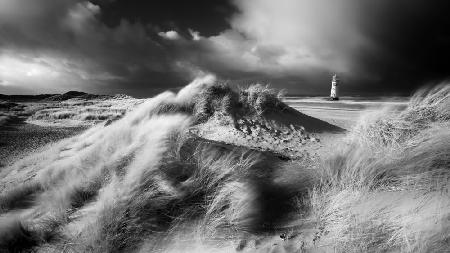 Amongst the dunes