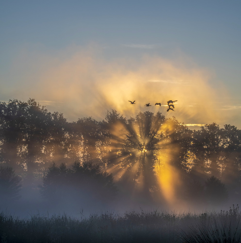 the Netherlands in the early morning von Chris Coenders