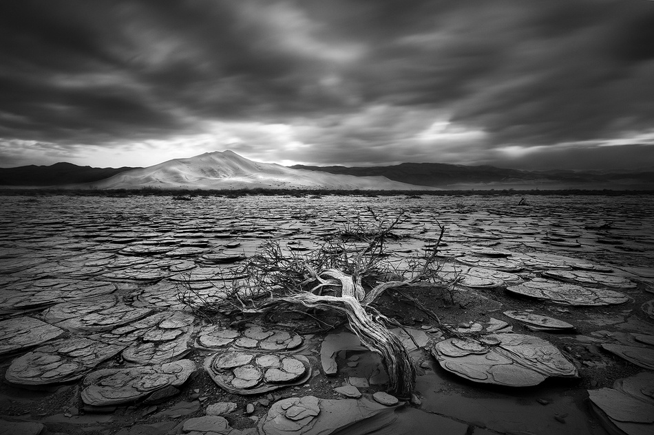 Last Refuge von Chris Moore