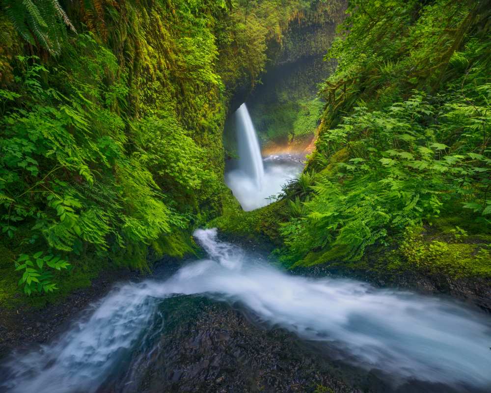 Rainbow in the Mist von Chris Moore