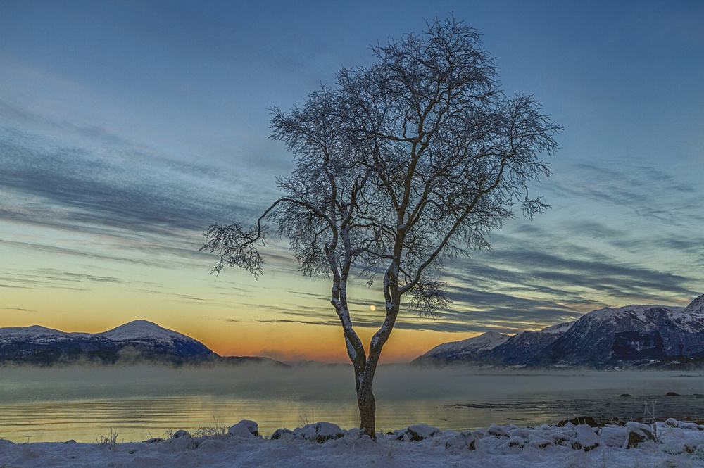 -15 Degrees Celcius von Christer Olsen