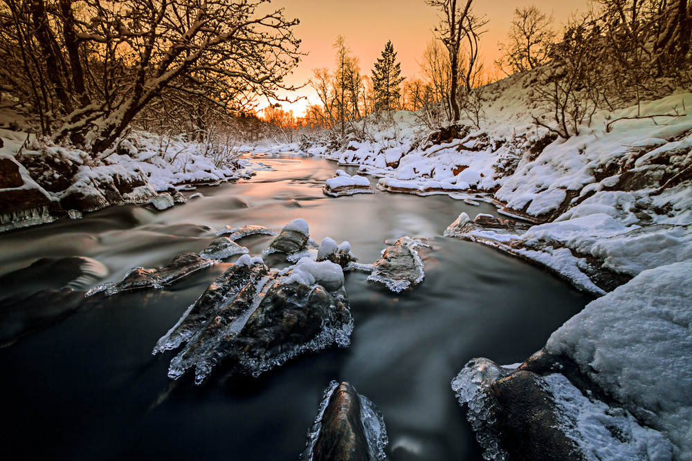 The river von Christer Olsen