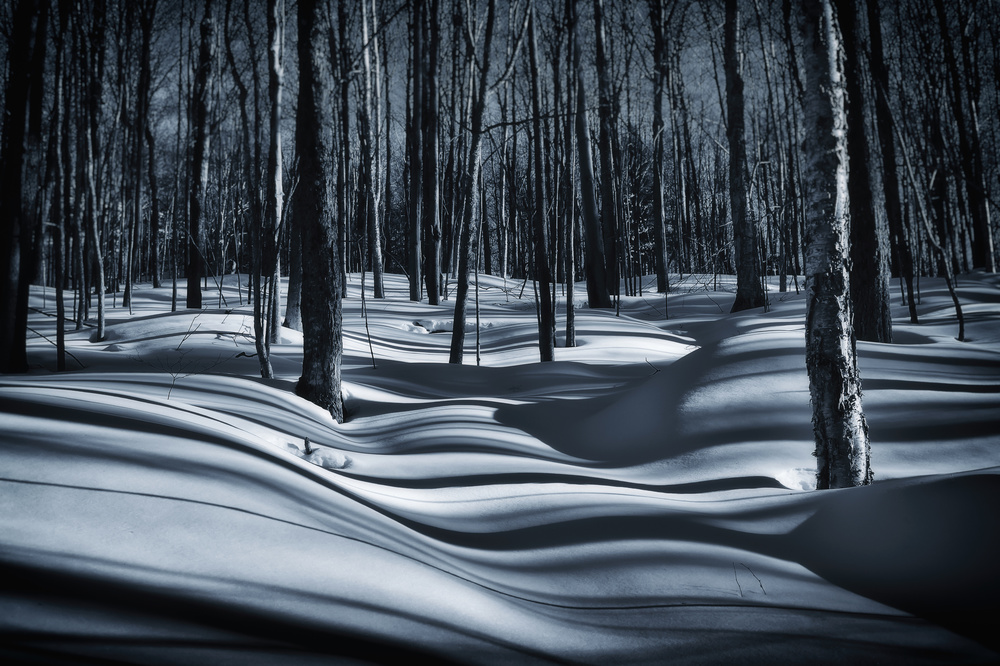 Sous-bois en hiver von Christian Duguay