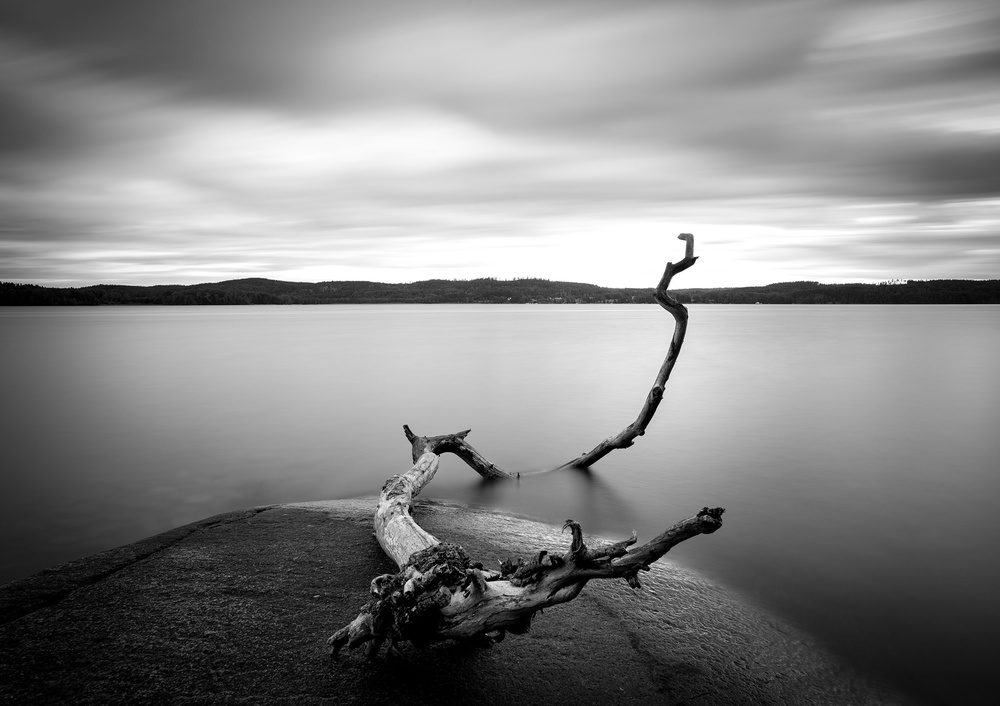 Branch long exposure lake von Christian Lindsten