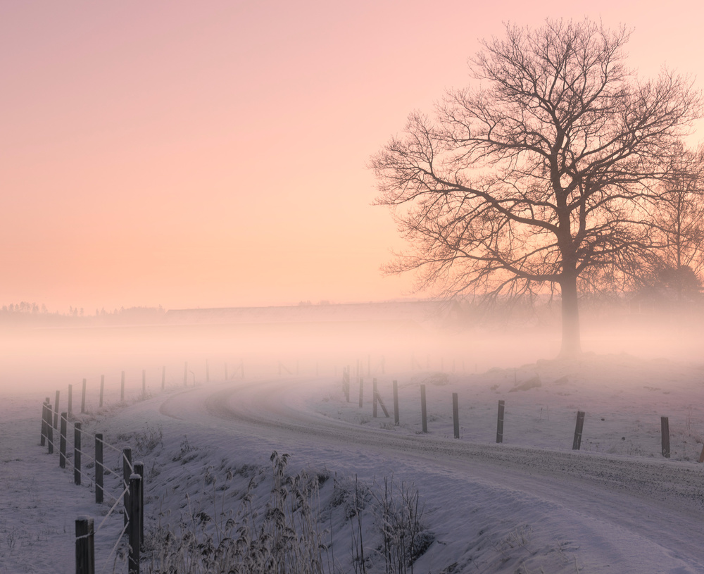 Colorful morning von Christian Lindsten