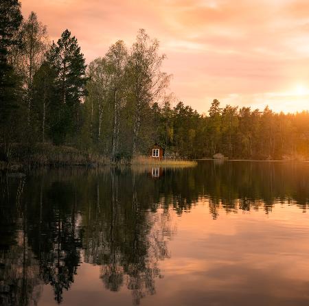 The little red house