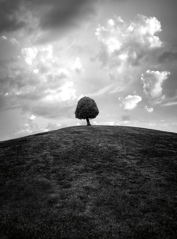 Lonely tree BW von Christian Lindsten