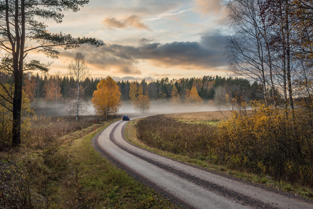 Drive in autumn colors von Christian Lindsten