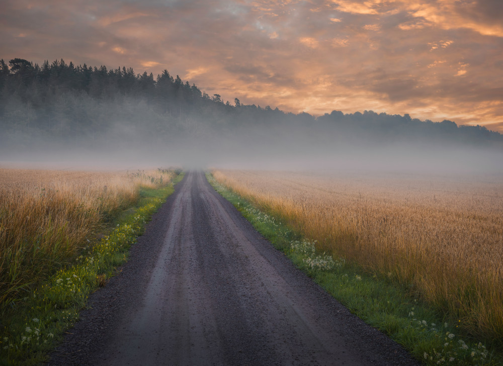 Golden foggy fields von Christian Lindsten