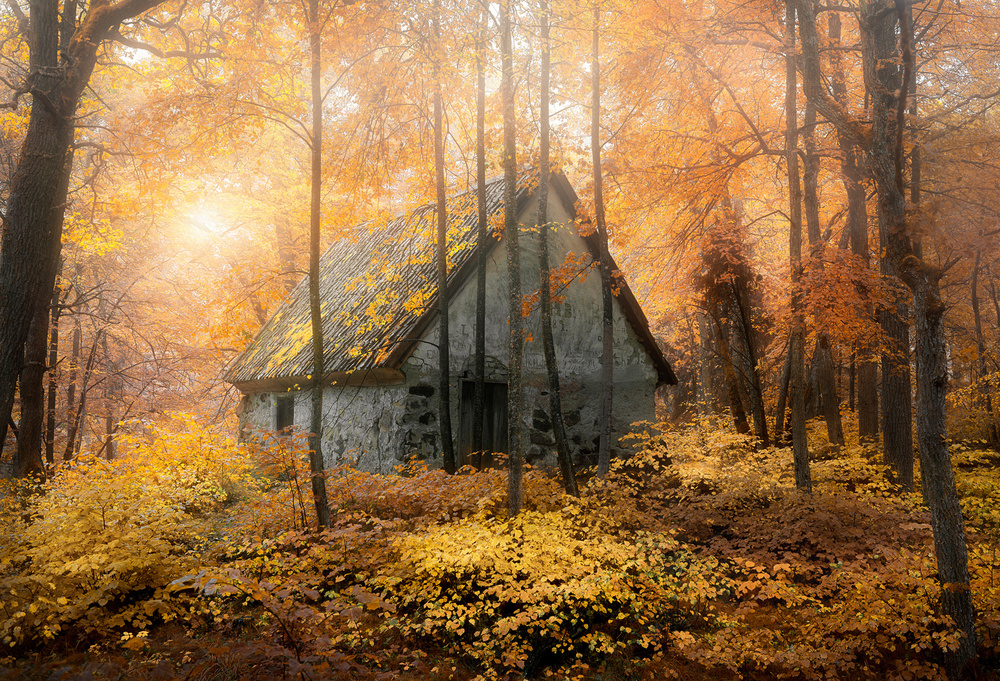 House in the forest during fallseason von Christian Lindsten