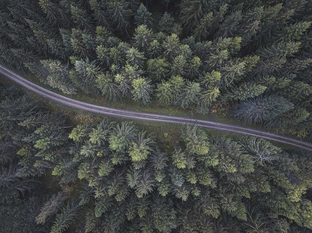 Kleine Straße durch den Wald von Christian Lindsten