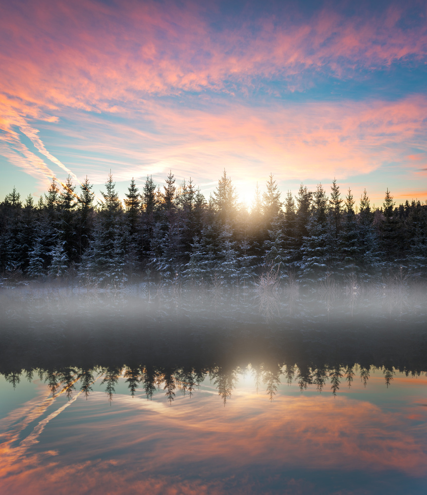 Small lake in the forest von Christian Lindsten