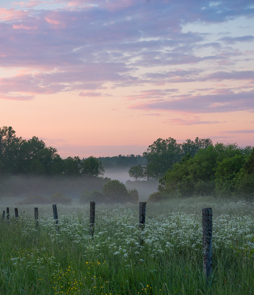 Fog and sunset von Christian Lindsten