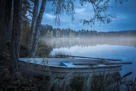 Lake of mist