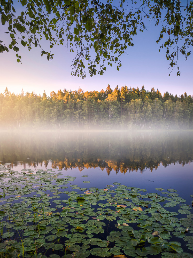 Calm summer night von Christian Lindsten