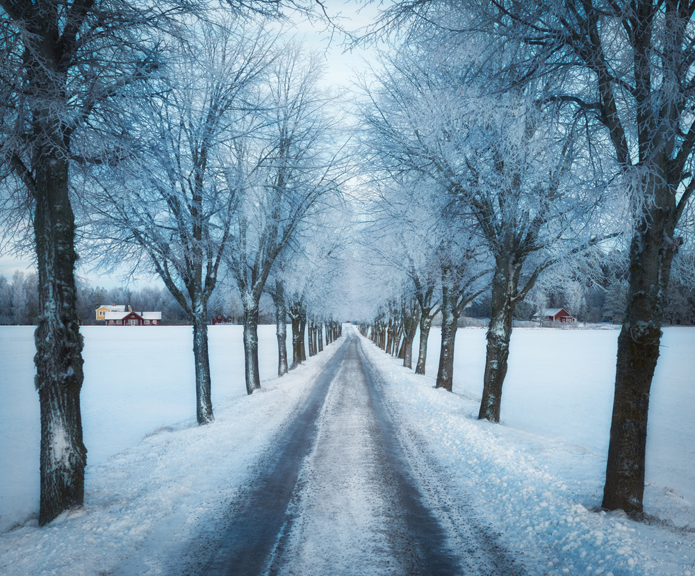 Swedish winter von Christian Lindsten