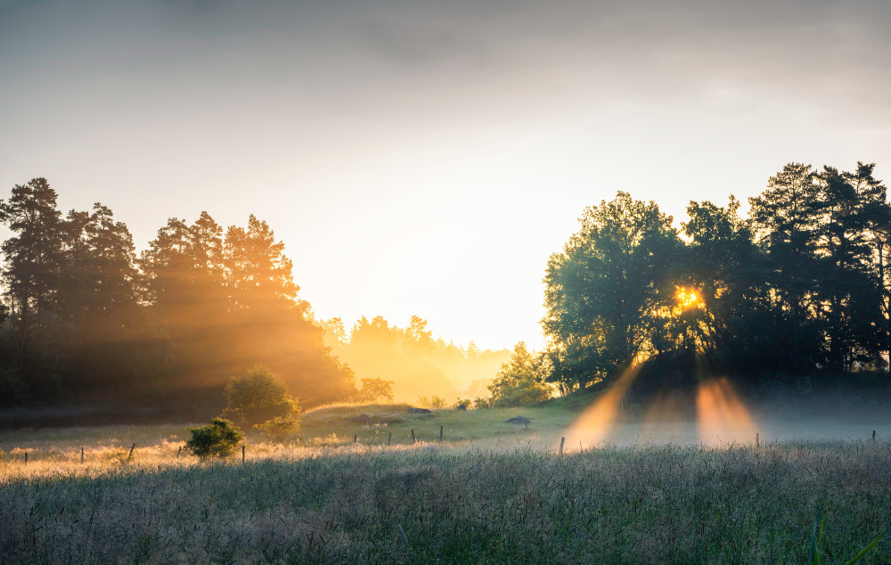 Summer field with sunrays von Christian Lindsten