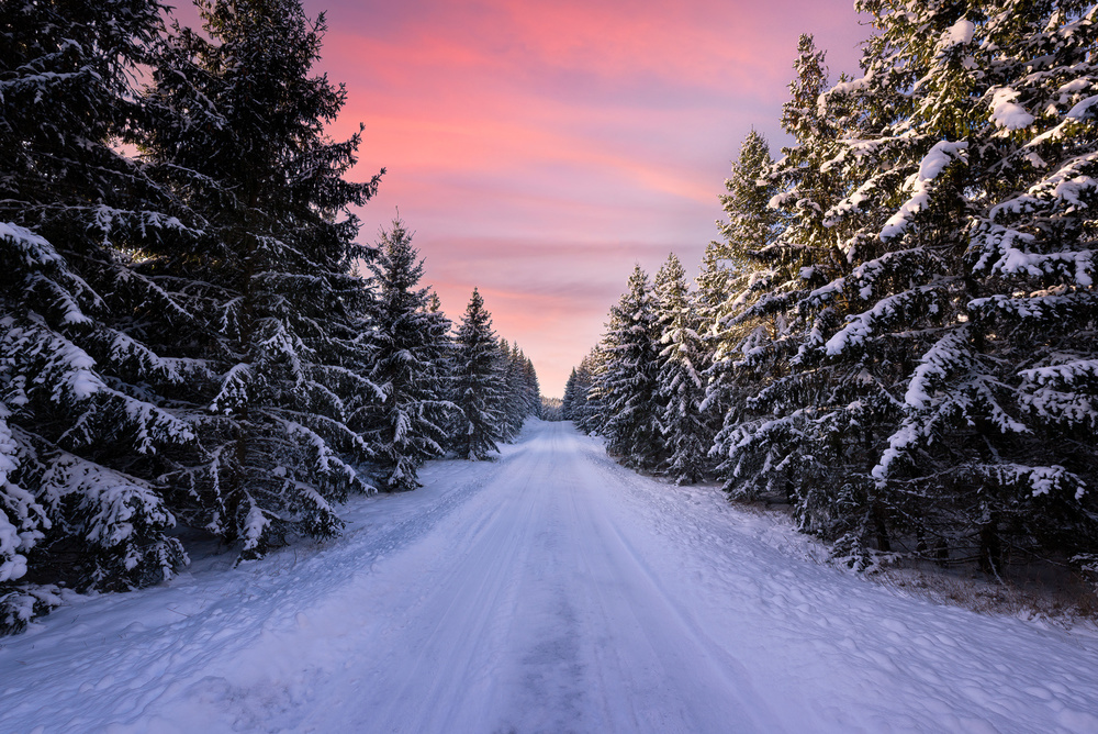 Road into the winter forest von Christian Lindsten