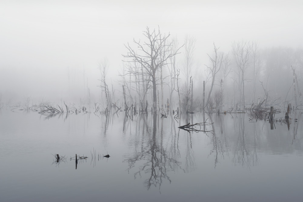 Flooded landscape in fog von Christian Lindsten