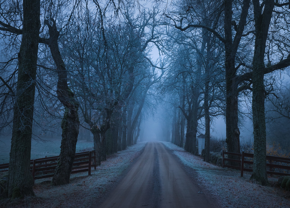 Sleepy hollow von Christian Lindsten